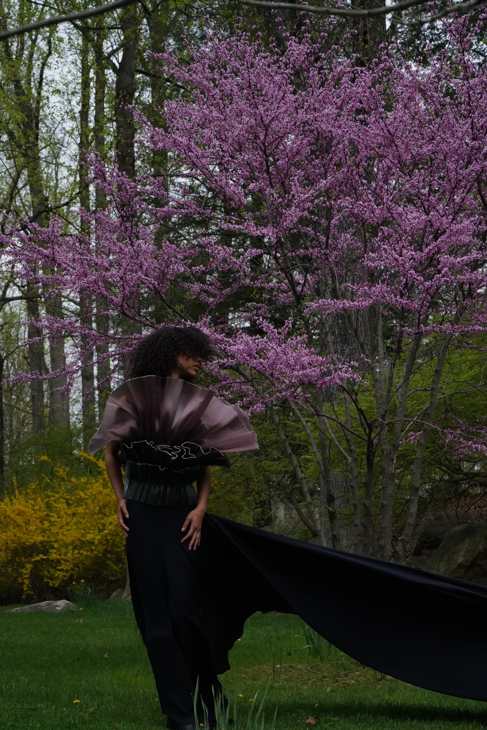 Grounded Within The Flow — image 2